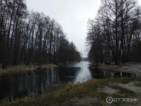 Турбаза Лесная сказка (Россия, Воронежская область) фото