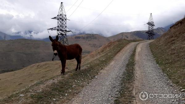 Отдых в Северной Осетии (Россия) фото