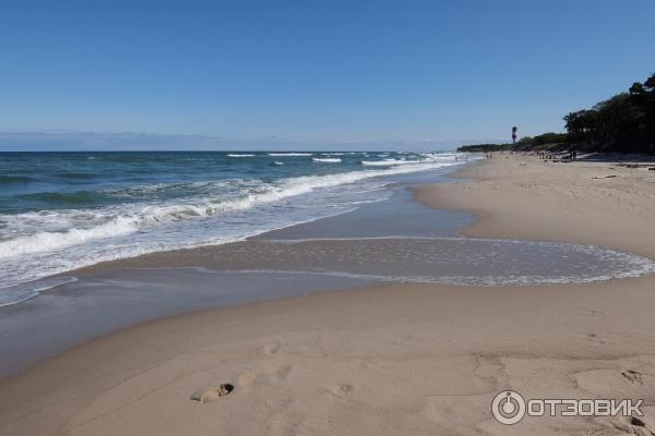 Поселок Лесной (Россия, Куршская коса) фото