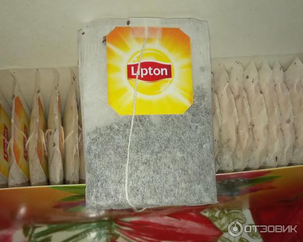 Чай Lipton Forest Fruit фото