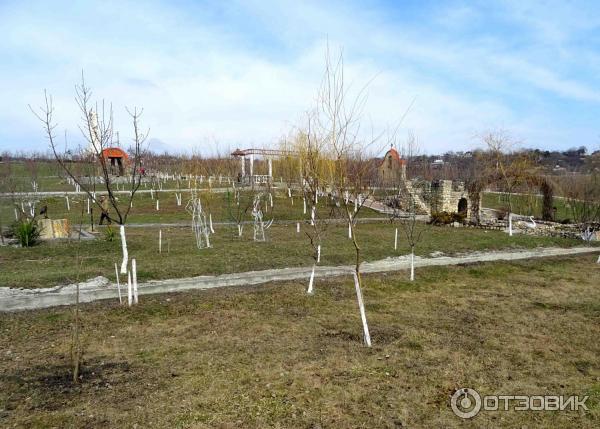 Терренкуры (лечебная ходьба) на курортах Кавказских Минеральных Вод.