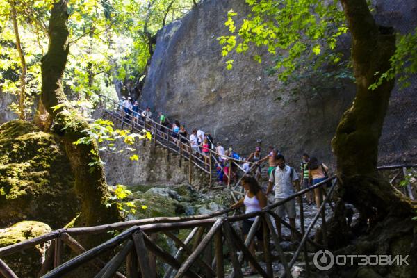 Долина Бабочек (Греция, Родос) фото