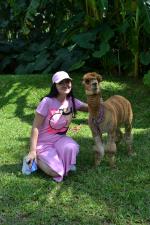 Отдых на о. Хайнань (Китай) фото