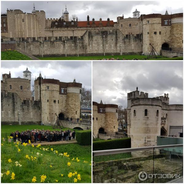 Лондонский Тауэр (Великобритания, Лондон) фото