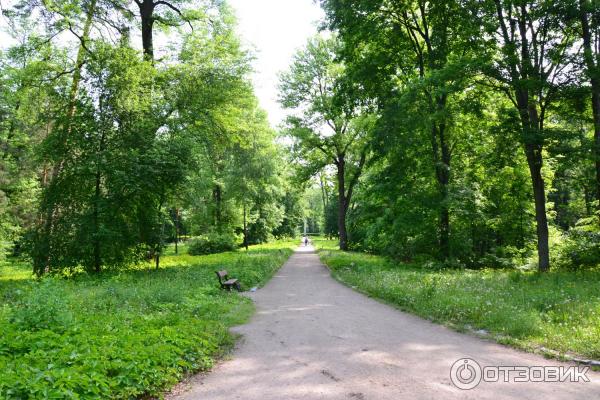 Дендропарк Александрия (Украина, Белая церковь) фото