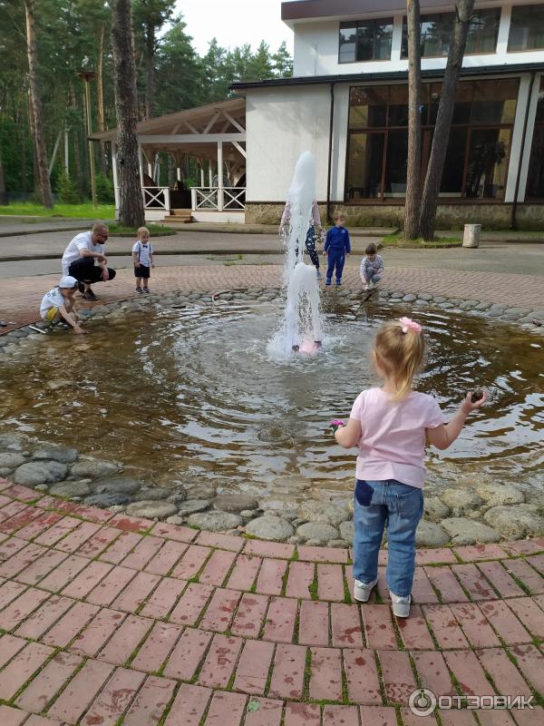 Парк Дракино (Россия, Московская область) фото