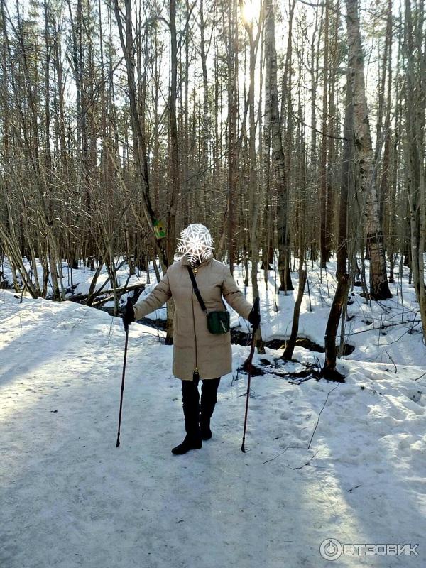 Палки для скандинавской ходьбы Outventure Nordic Walking Poles фото