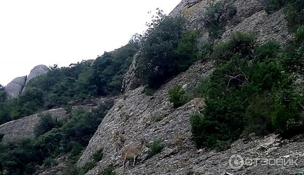 Пешеходный маршрут Путь ко Кресту Святого Михаила (Испания, Монсеррат) фото