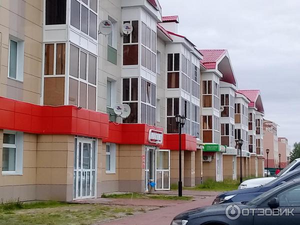 Экскурсия по г. Губкинский (Россия, Ямало-Ненецкий автономный округ) фото