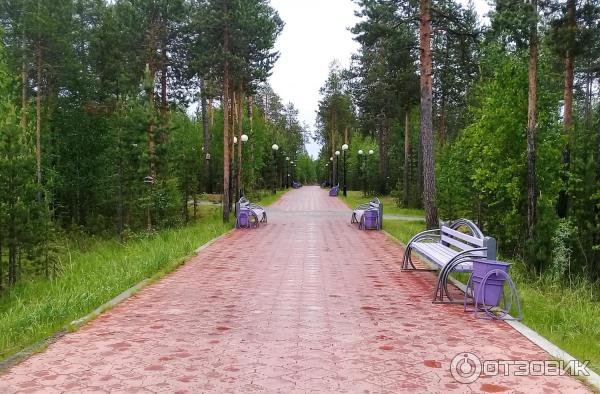 Экскурсия по г. Губкинский (Россия, Ямало-Ненецкий автономный округ) фото