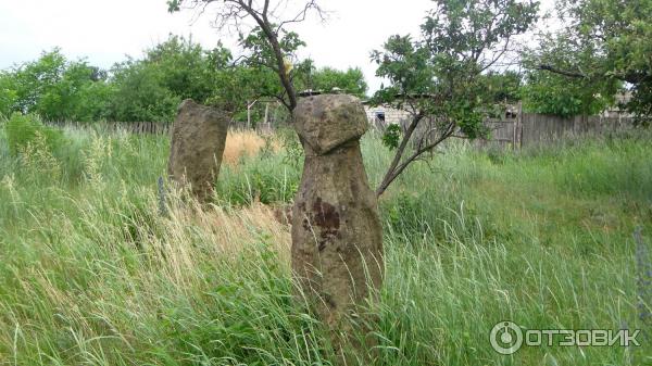 Половецкие каменные бабы в Краеведческом музее. Смоляниново, Украина