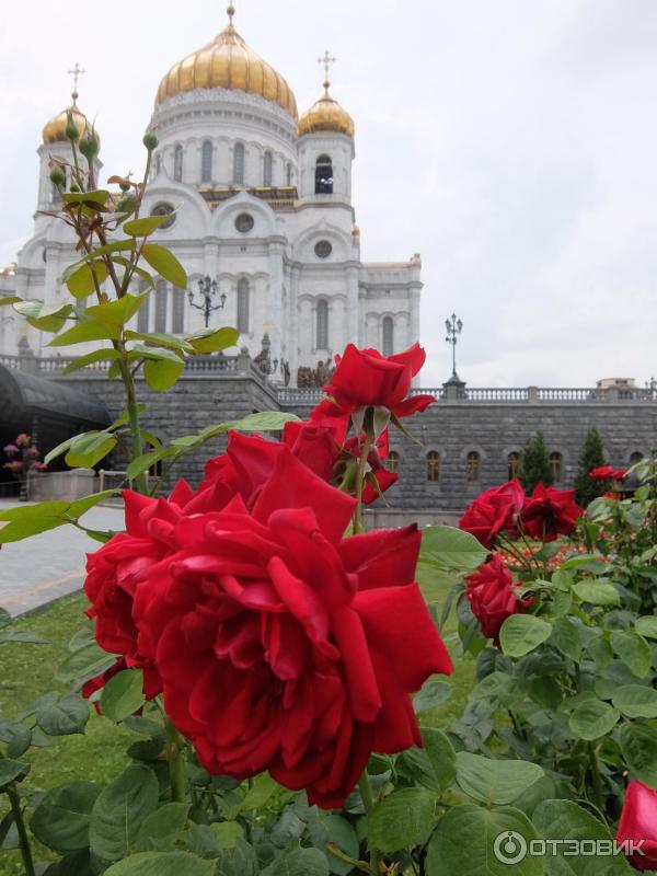 Храм Христа Спасителя (Россия, Москва) фото