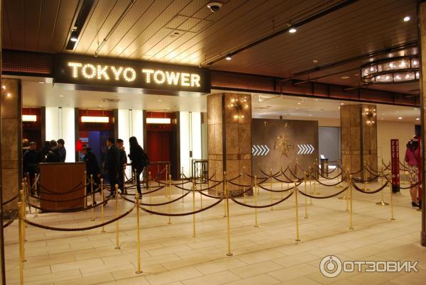 Токийская башня Tokyo Tower (Япония, Токио) фото