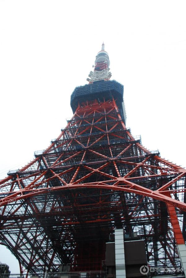 Токийская башня Tokyo Tower (Япония, Токио) фото