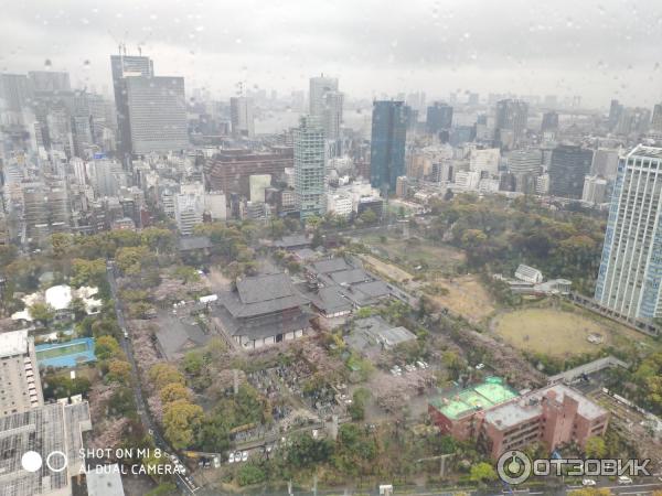 Токийская башня Tokyo Tower (Япония, Токио) фото