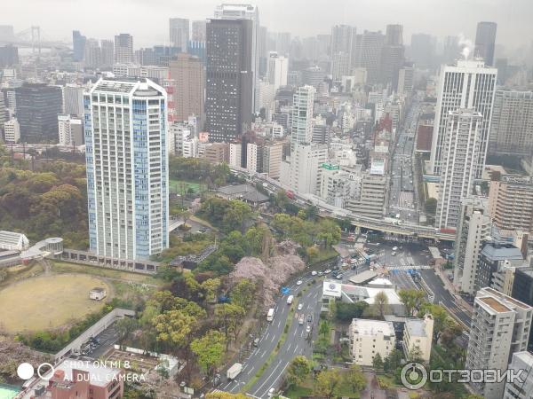 Токийская башня Tokyo Tower (Япония, Токио) фото