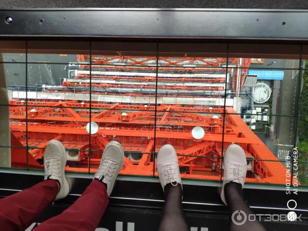 Токийская башня Tokyo Tower (Япония, Токио) фото