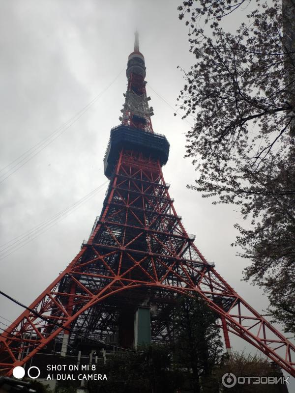 Токийская башня Tokyo Tower (Япония, Токио) фото