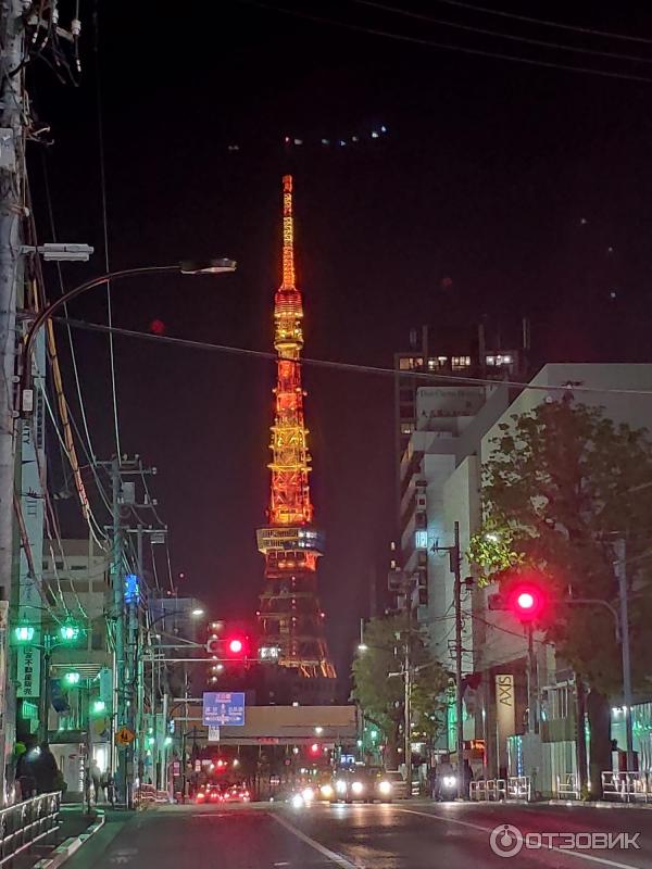 Токийская башня Tokyo Tower (Япония, Токио) фото