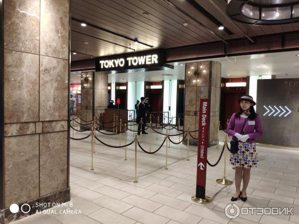 Токийская башня Tokyo Tower (Япония, Токио) фото