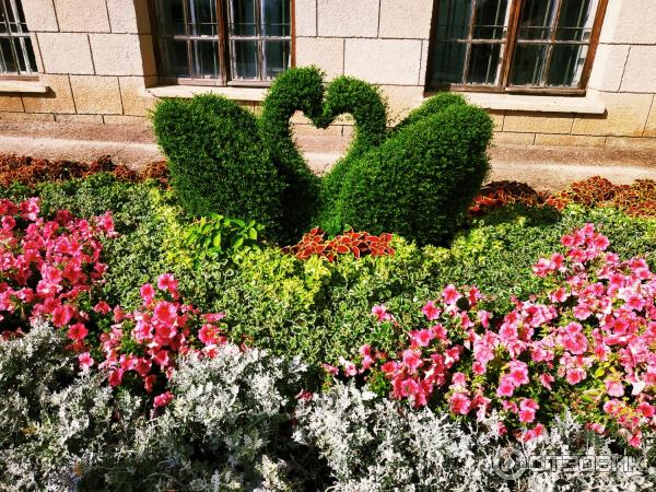 Никитский Ботанический сад (Крым, Ялта) фото