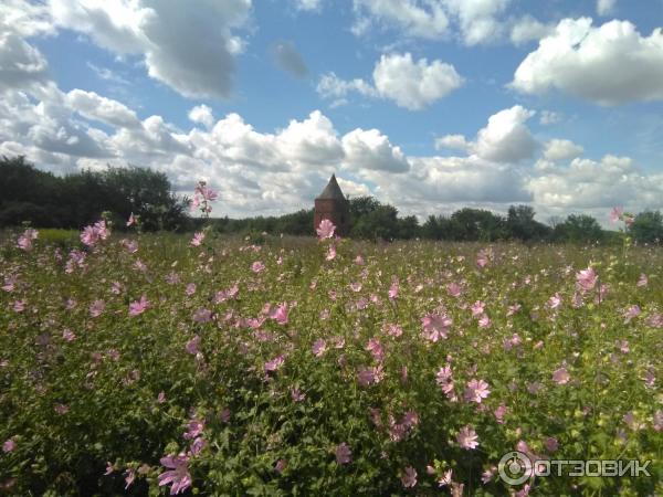 Сабуровская крепость (Россия, Орловская область) фото