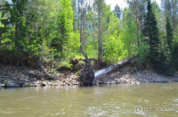 Сплав по реке Юрюзань (Россия, Челябинская область) фото