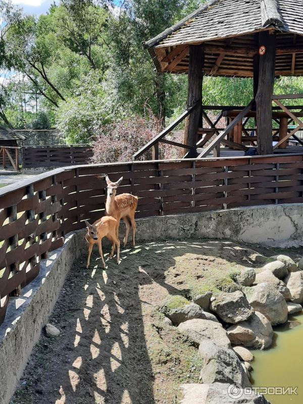 Агротуристический комплекс Коробчицы (Беларусь, Гродненская область) фото