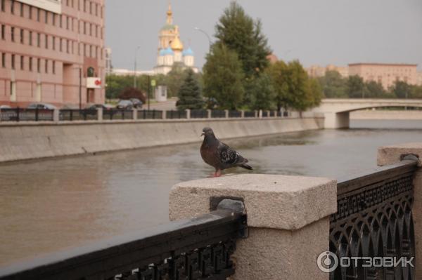 Экскурсия Я люблю гулять по Москве (Россия, Москва) фото