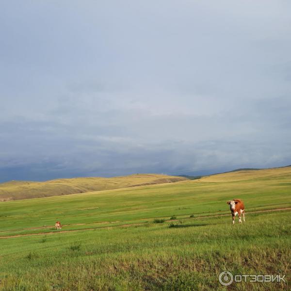 Отдых на озере Байкал (Россия, Иркутская область) фото