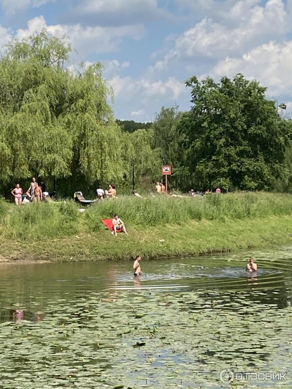 Природный парк Долина реки Яузы (Москва) фото