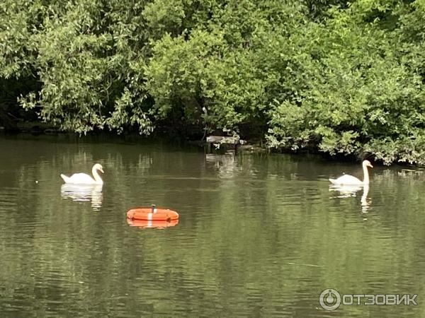 Природный парк Долина реки Яузы (Москва) - фото