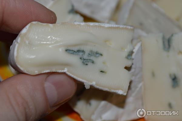 Сыр White cheese from Zhukovka Бресс блю фото