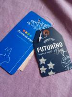 Зимняя куртка для мальчика "Futurino" фото
