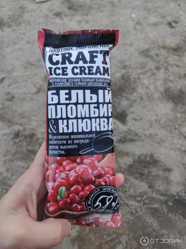 Крафтовое мороженое Craft Ice Cream фото