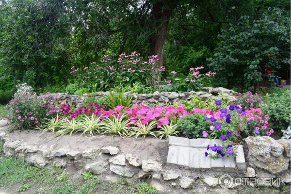 Парк культуры и отдыха имени Комсомольцев-добровольцев (Россия, Камышин) фото