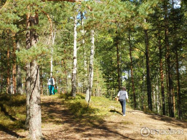 Озера Ленинградской области (Россия) фото