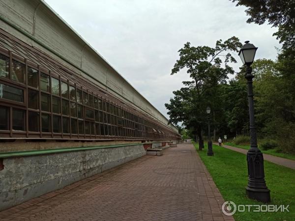 Музей-заповедник Царицыно (Россия, Москва) фото