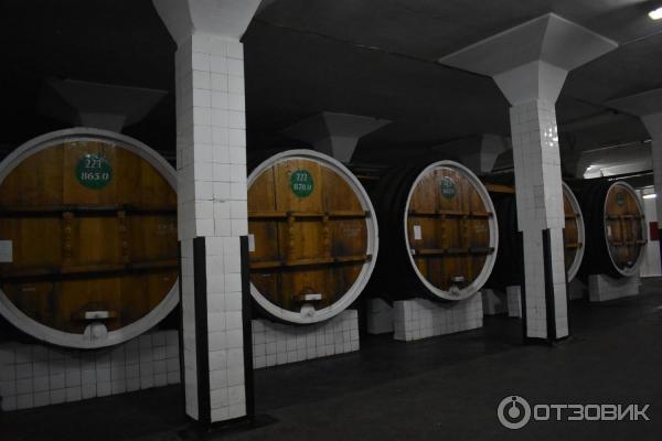 Массандровский винзавод (Крым) фото