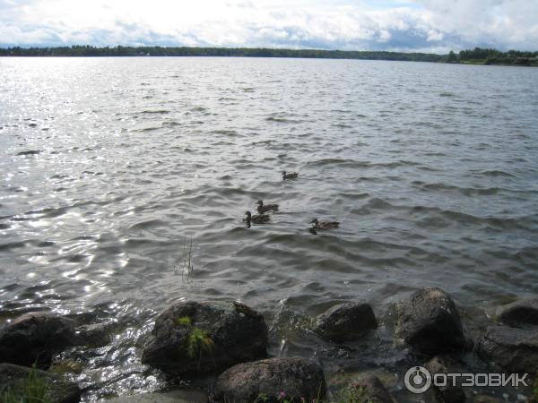 Кирилло-Белозерский музей-заповедник (Россия, Кириллов) фото