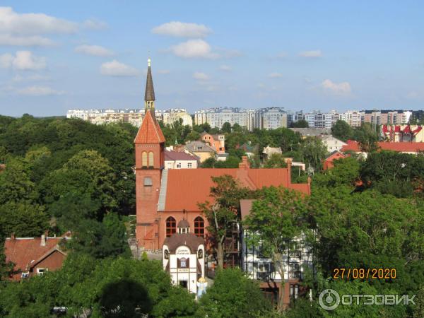 Музей кошек Мурариум (Россия, Зеленоградск) фото