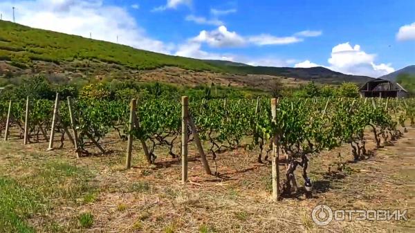 Монастырь Атени Сиони (Грузия, Гори) фото