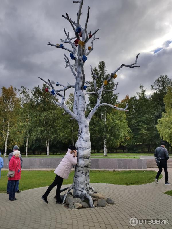 Речной круиз Санкт-Петербург - Мандроги - Петрозаводск - Кижи - Валаам - Санкт-Петербург фото