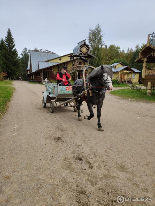 Речной круиз Санкт-Петербург - Мандроги - Петрозаводск - Кижи - Валаам - Санкт-Петербург фото