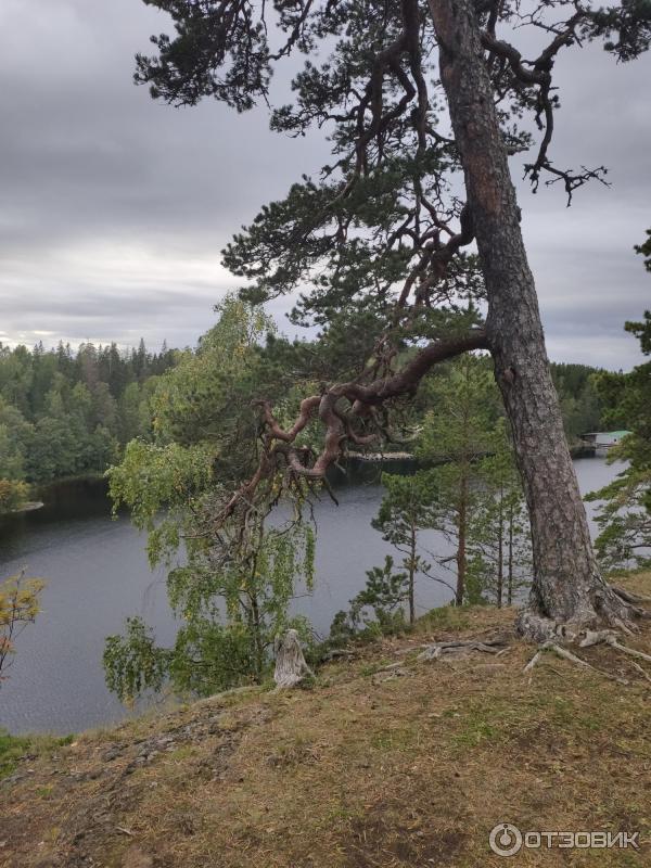 Речной круиз Санкт-Петербург - Мандроги - Петрозаводск - Кижи - Валаам - Санкт-Петербург фото