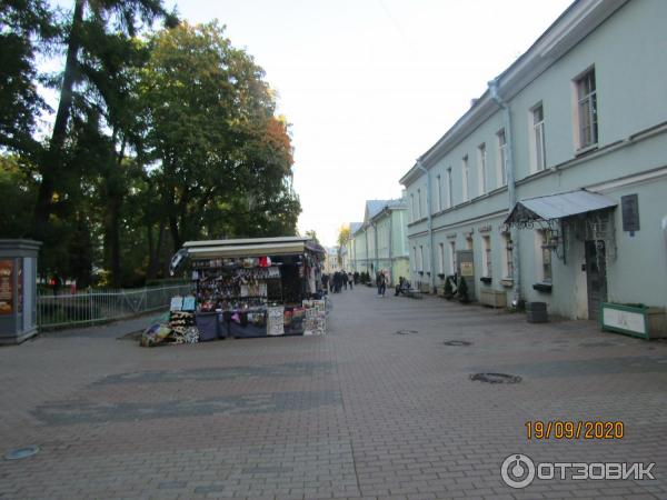 Ресторан Giakomo (Россия, Санкт-Петербург, Пушкин) фото