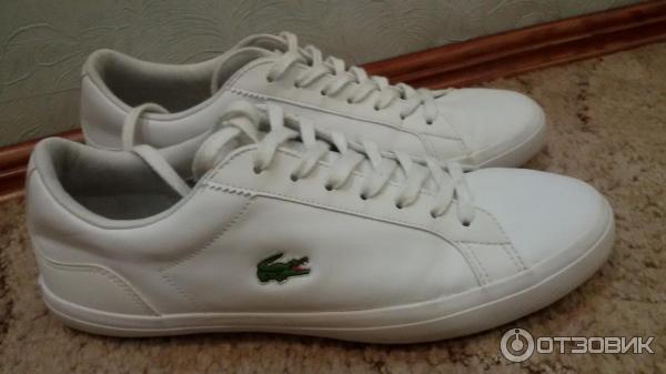 Кеды мужские Lacoste фото