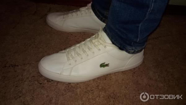 Кеды мужские Lacoste фото