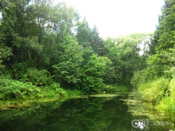 Дендрологический парк (Россия, Переславль-Залесский) фото