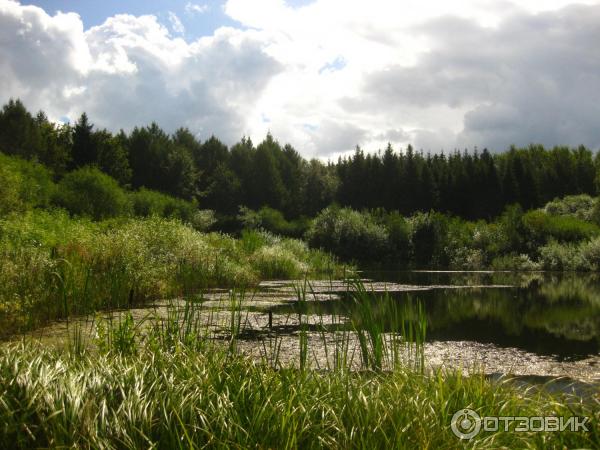 Дендрологический парк (Россия, Переславль-Залесский) фото